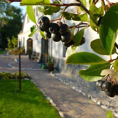 Villa Aronia Park à Lubiechowa Extérieur photo
