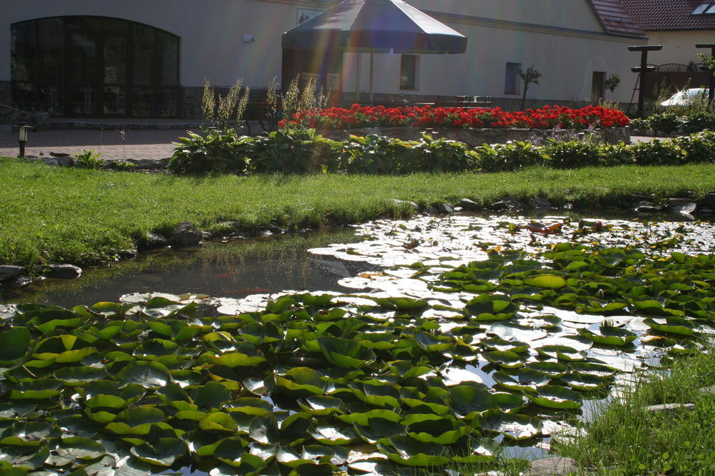 Villa Aronia Park à Lubiechowa Extérieur photo