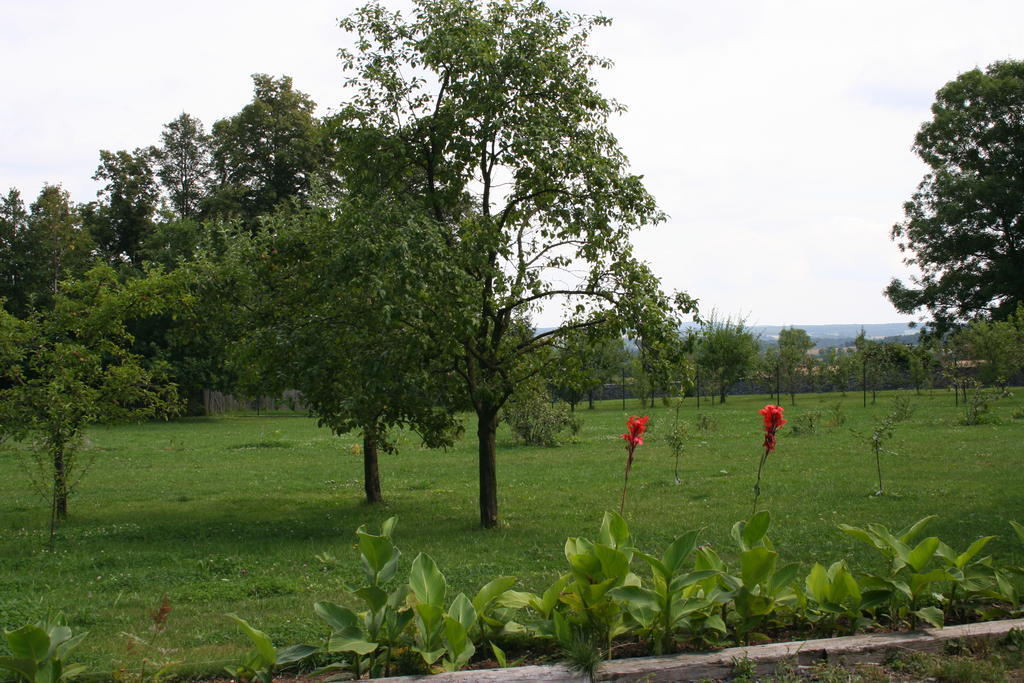 Villa Aronia Park à Lubiechowa Extérieur photo