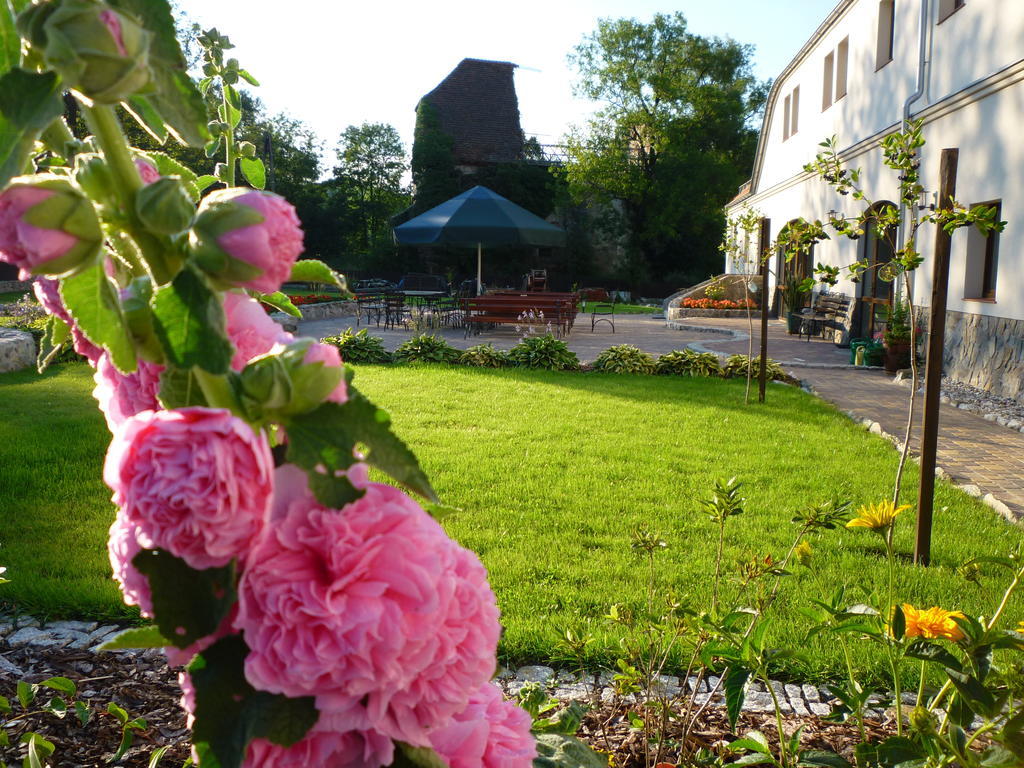 Villa Aronia Park à Lubiechowa Extérieur photo